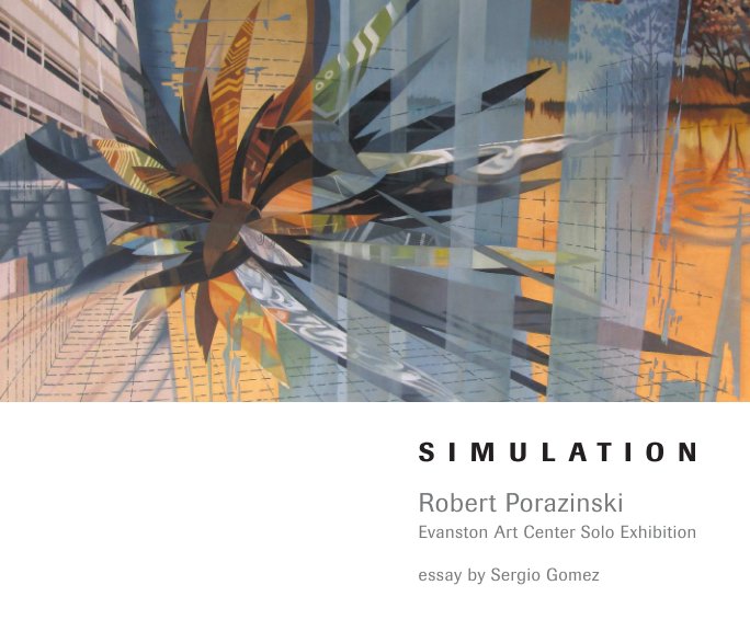 Bekijk Robert Porazinski–Simulation–Evanston Art Center Solo Exhibition op Robert Porazinski