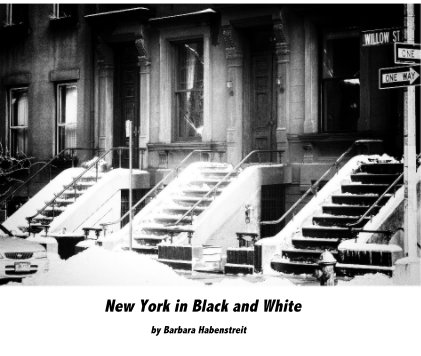 New York in Black and White book cover