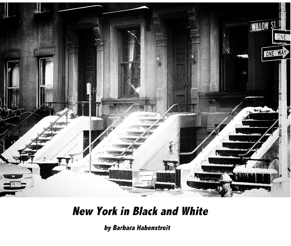 View New York in Black and White by Barbara Habenstreit