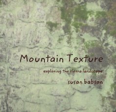 Mountain Texture book cover