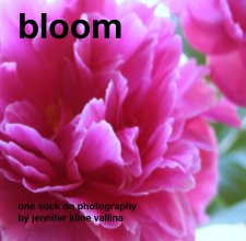 bloom book cover