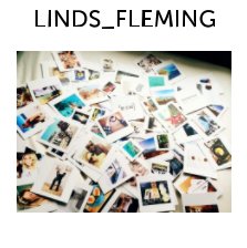 Linds_Fleming book cover
