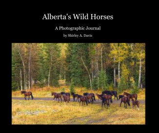 Alberta's Wild Horses book cover