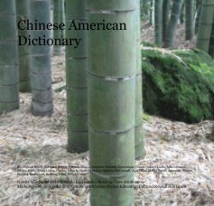 Chinese American Dictionary book cover