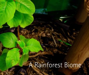 A Rainforest Biome book cover