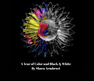 A Year of Color and Black and White book cover