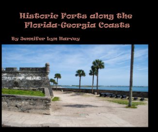 Historic Forts along the Florida-Georgia Coasts book cover