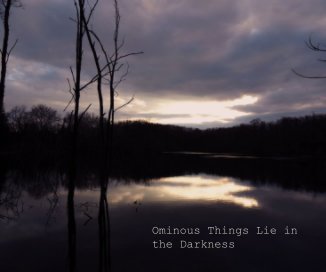 Ominous Things Lie in the Darkness book cover