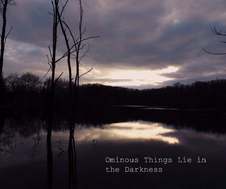View Ominous Things Lie in the Darkness by Kayla Garpstas