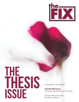 The Fix Issue #2 book cover