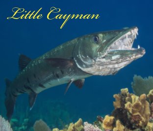 Little Cayman book cover