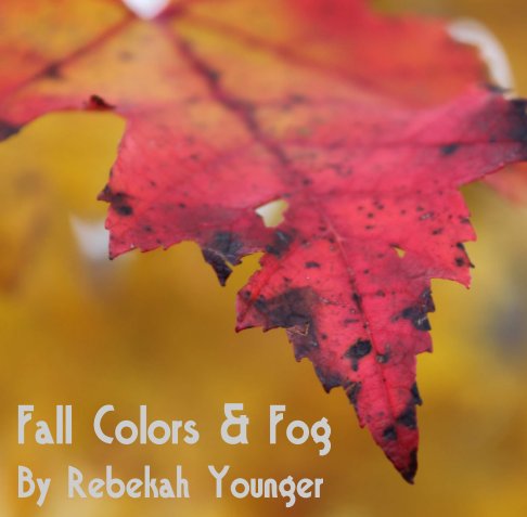 View Fall Colors & Fog by Rebekah Younger