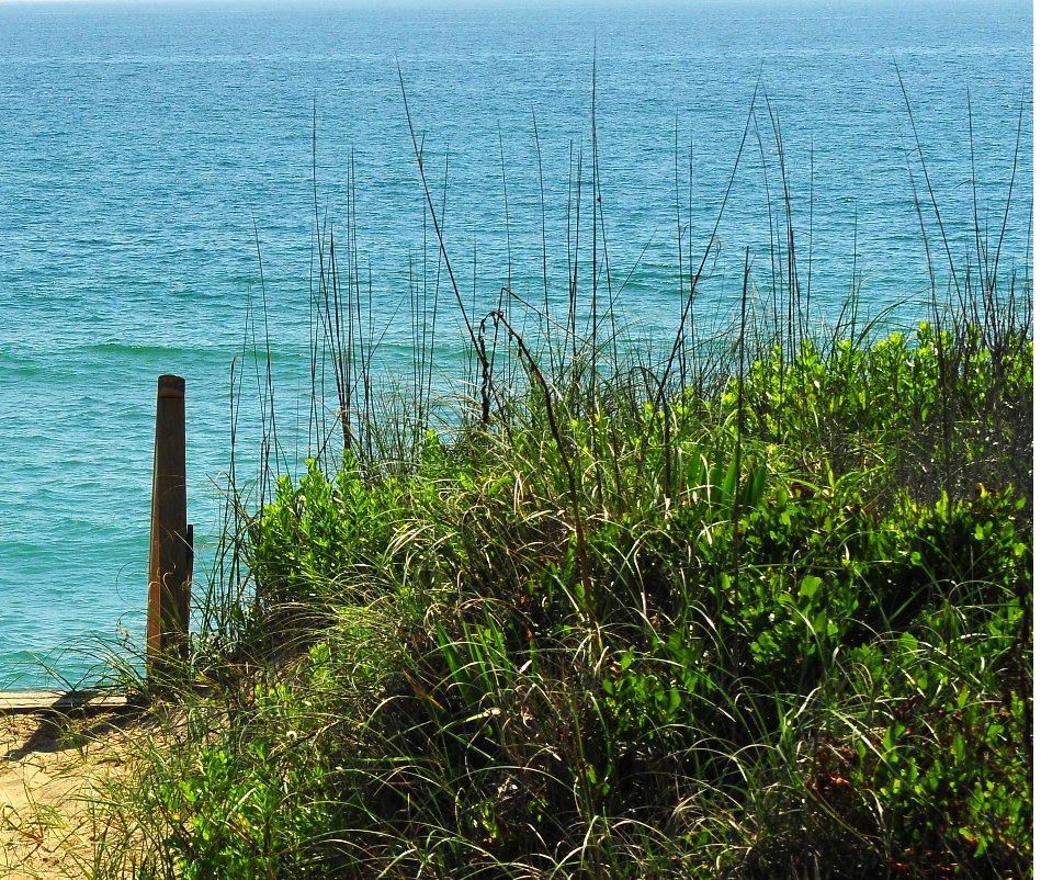 View Nags Head 2009 by Amy Prochazka