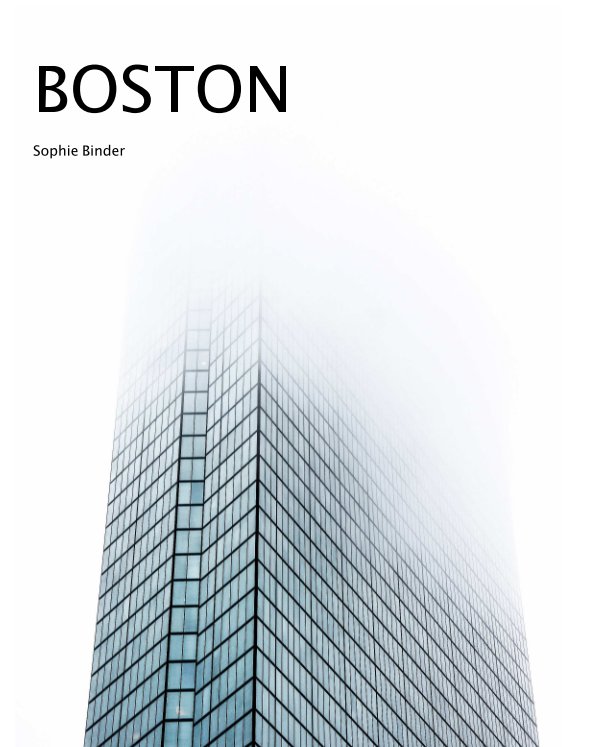 View Boston by Sophie Binder