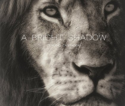 A Bright Shadow book cover