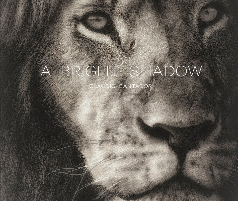 Ver A Bright Shadow por Claudio Cantadori
