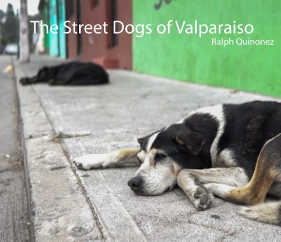The Street Dogs of Valparaiso book cover