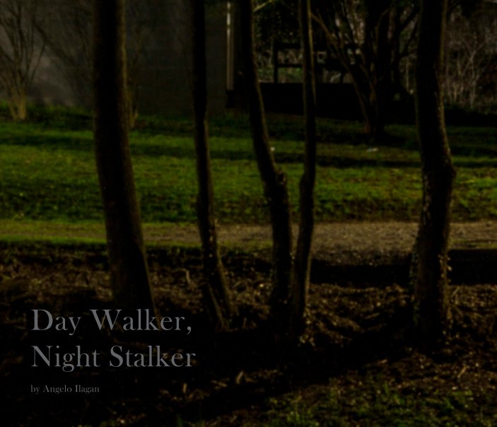 View Day Walker, Night Stalker by Angelo Ilagan