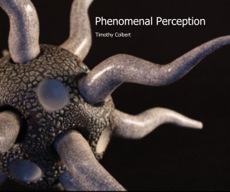 Phenomenal Perception book cover