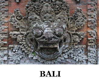 BALI book cover