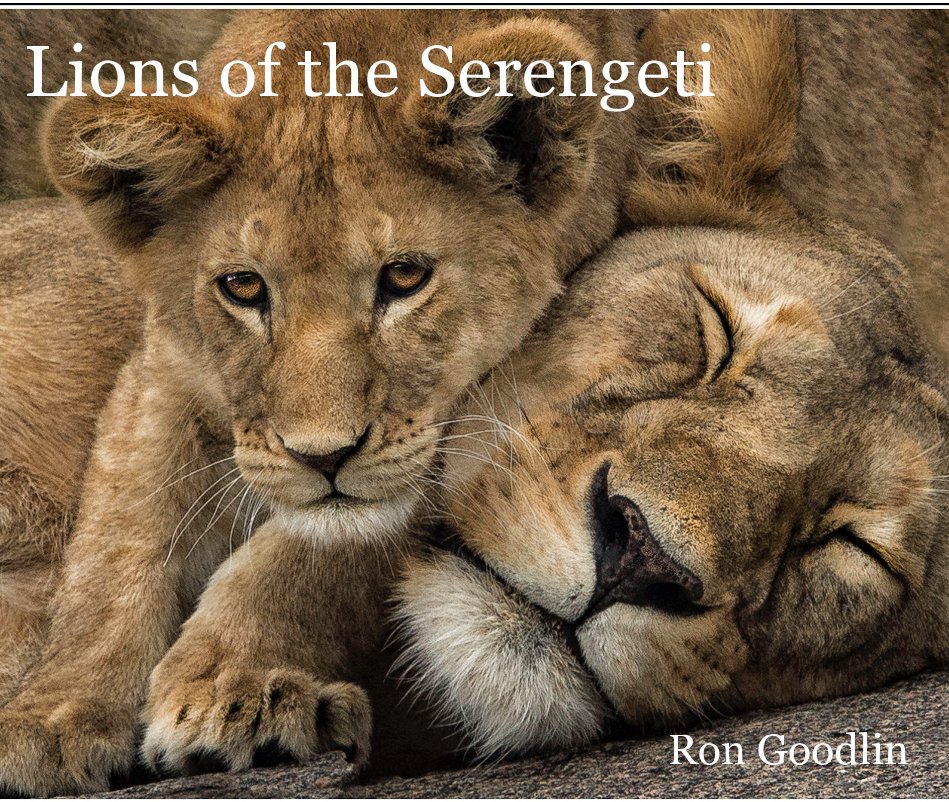 View Lions of the Serengeti by Ron Goodlin