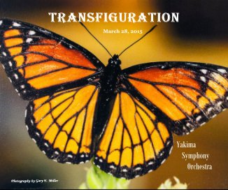 TRANSFIGURATION book cover