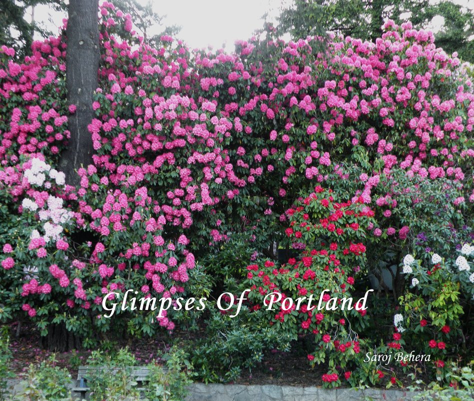 View Glimpses Of Portland by Saroj Behera