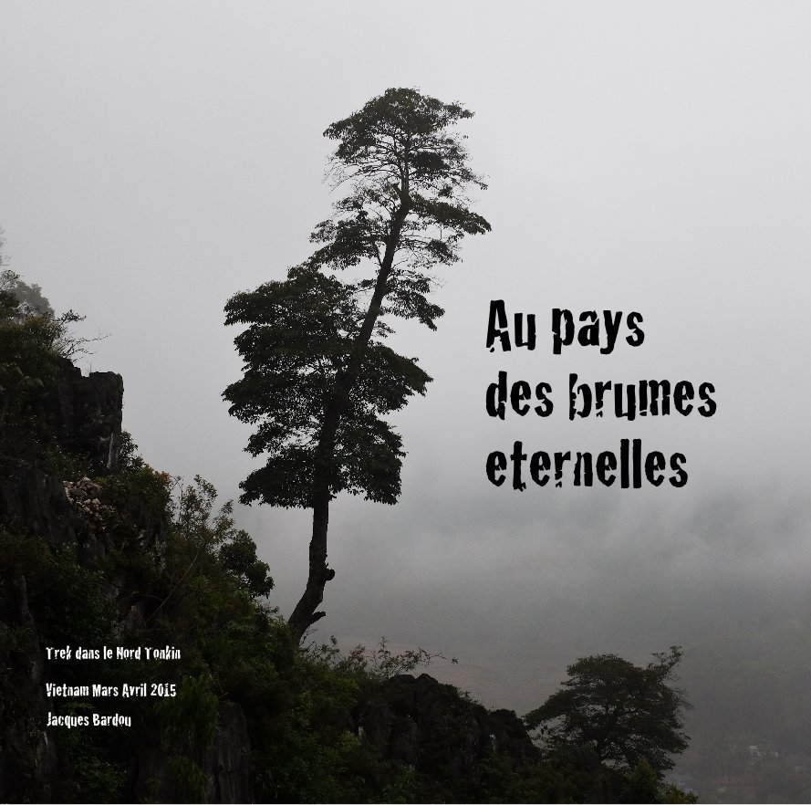 View Au pays des brumes eternelles by Jacques Bardou