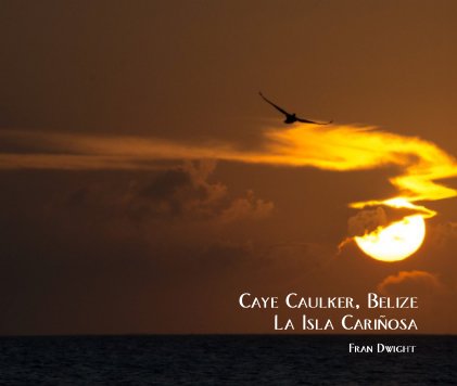 Caye Caulker, Belize La Isla Cariñosa book cover