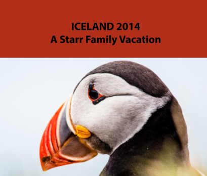 ICELAND 2014 book cover