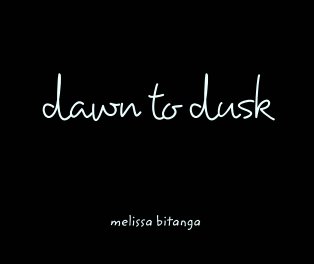 dawn to dusk book cover