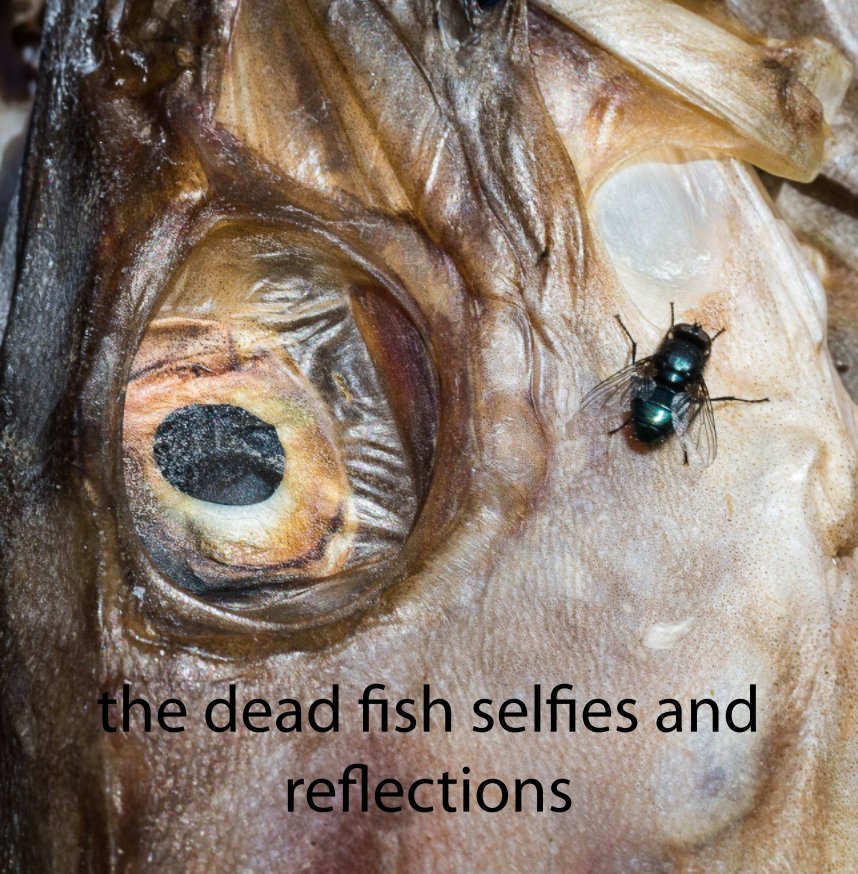 Ver the dead fish selfies and reflections por Rúnar Gunnarsson