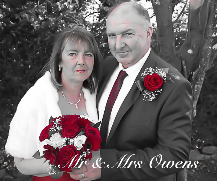 Bekijk Mr & Mrs Owens op One Island Photography