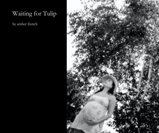 Waiting for Tulip book cover