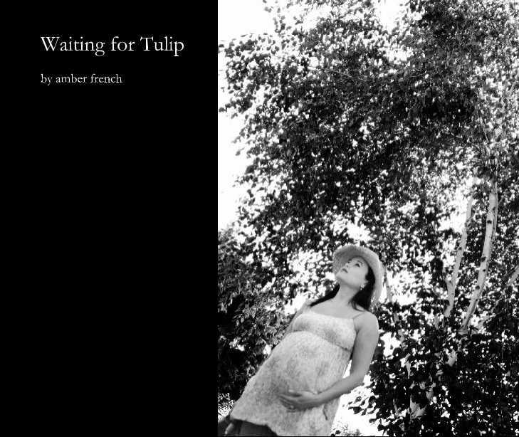 View Waiting for Tulip by amberfrench