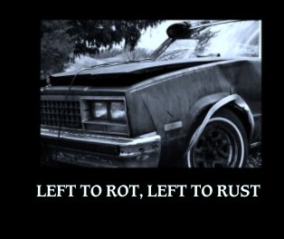 LEFT TO ROT, LEFT TO RUST book cover