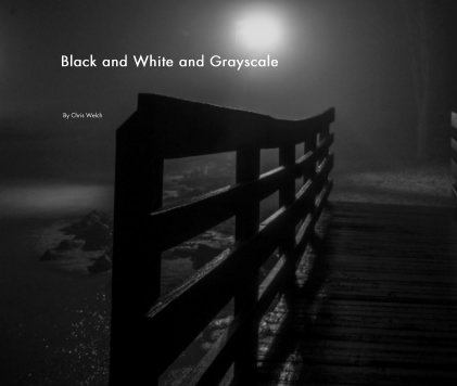 Black and White and Grayscale book cover
