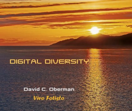 DIGITAL DIVERSITY book cover