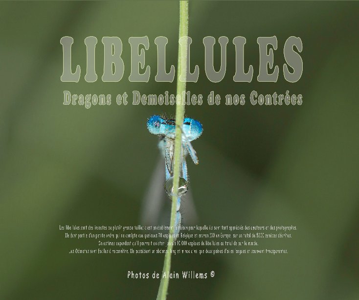 Visualizza Libellules di Alain WILLEMS