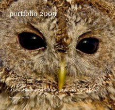 portfolio 2009 book cover