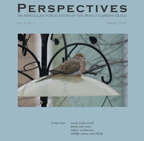View Perspectives, Vol. 2 no. 3 by Birnbaum (ed.), et al.