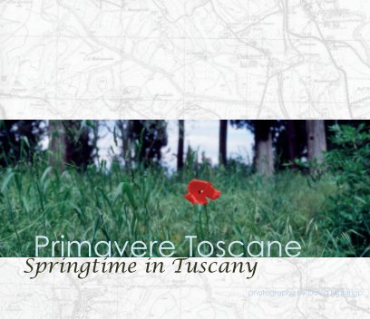 Primavere Toscane book cover
