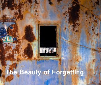 The Beauty of Forgetting book cover