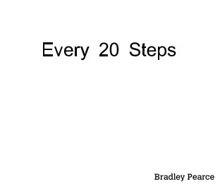 Every 20 Steps book cover