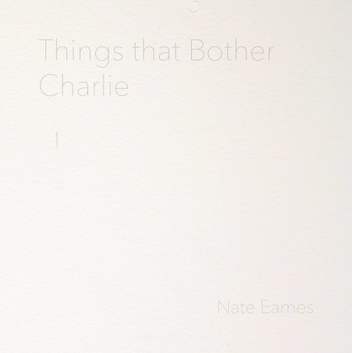 View Things that Bother Charlie by Nate Eames