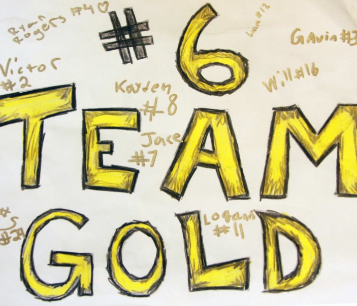 View 2014-15 Sarnia Atom House League Team Gold by Rick Schroeter