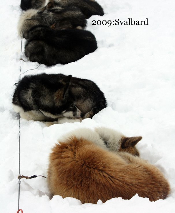 2009:Svalbard nach Ollie Williams anzeigen