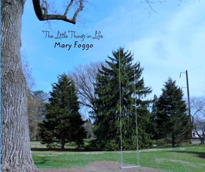 View The Little Things in Life by Mary Foggo