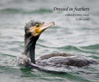 Dressed in feathers book cover