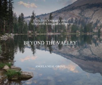 BEYOND THE VALLEY book cover